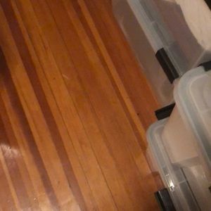 Meet your Posher, Ashleigh